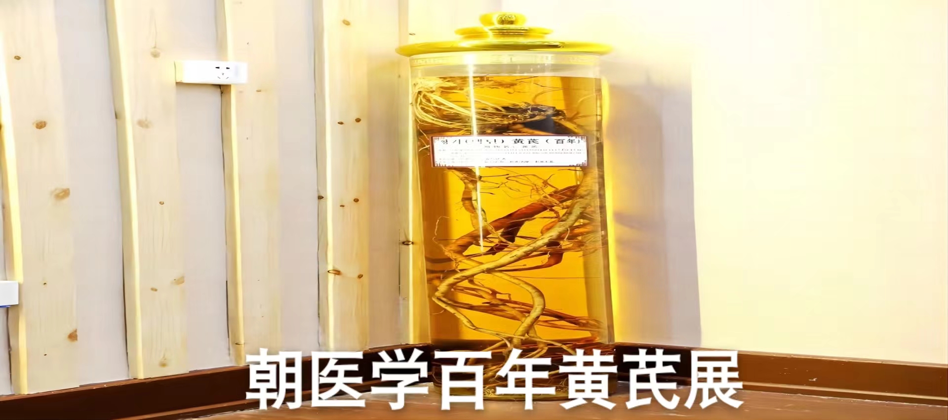 人人体育APP下载图片